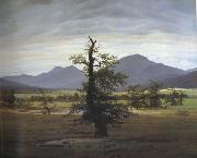 Caspar David Friedrich Landscape with Solitary Tree (mk10) painting